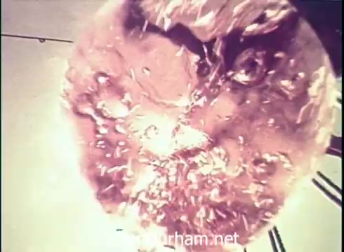 The still from the 'Lancer Wine Commercial - 1971' features a close-up shot of wine in a glass, displaying bubbles and reflections. The color appears warm and inviting, suggesting a sense of enjoyment and sophistication associated with wine consumption. The focus is on the wine's texture and movement, enhancing its visual appeal.