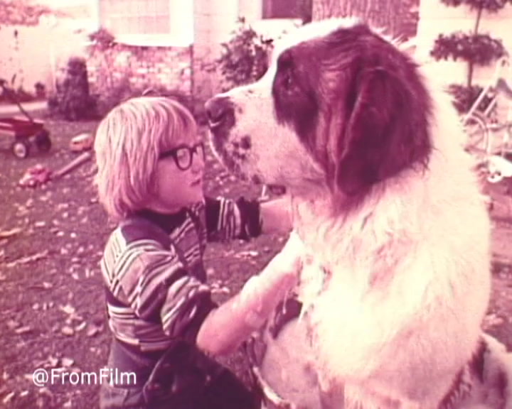 The still from the 1970s Band-Aid TV commercial features a young boy with glasses, joyfully tending to a large Saint Bernard dog. The boy is dressed in a striped sweater and overalls, indicating a playful, nostalgic vibe. The background is a homey outdoor setting, with toys and a bicycle visible, enhancing the innocent and carefree atmosphere typical of childhood. The warm color palette reflects the vintage aesthetic of the era. The scene captures a moment of tenderness and companionship, illustrating the theme of caring that aligns with the Band-Aid brand.