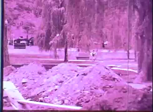 The still from the 'Fuzz' trailer shows a park scene with a pinkish tint typical of early 16mm film prints. In the foreground, there are mounds of dirt, possibly from construction. Background elements include trees with hanging branches and distant figures, suggesting a leisurely day in a public space. The overall mood is casual, capturing a moment of urban life.
