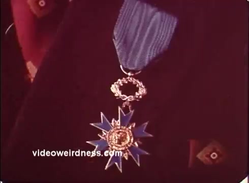 The still features a close-up of a medal with a star design, predominantly blue and gold. It is draped with a ribbon, reflecting a sense of prestige or achievement. The context of this image within a 'Blue Bonnet Margarine Commercial - 1970s' suggests a humorous or ironic take on traditional advertising norms, possibly juxtaposing the concept of culinary excellence with a celebratory award. The overall aesthetic appears to reflect the vibrant color palette and stylistic elements typical of the 1970s.