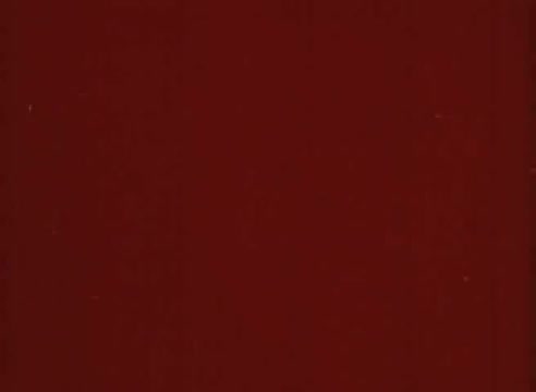 The still from 'Erik Satie and the King of the Beans - Part I' features a rich, textured background in a deep reddish hue. It likely serves as a visual element to complement the educational content of the film, focusing on Erik Satie and his artistic contributions. The simplicity of the frame may emphasize the narrative or thematic elements presented in the film.