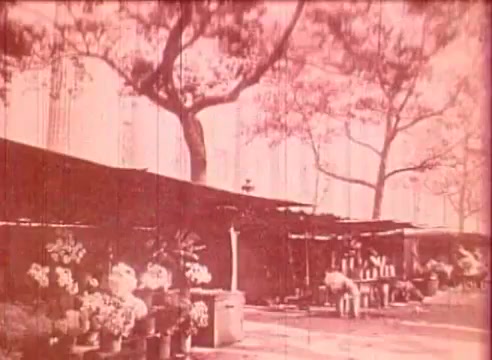 The still from 'Erik Satie and the King of the Beans - Part I' features a tranquil outdoor setting, likely a garden or market, characterized by pots of flowers and a rustic structure. The scene is bathed in a reddish tint, contributing to a nostalgic or vintage atmosphere. Tall trees provide shade, enhancing the serene ambiance of the educational film. Overall, it evokes a sense of simplicity and nature, aligning with the thematic elements of Satie's work.