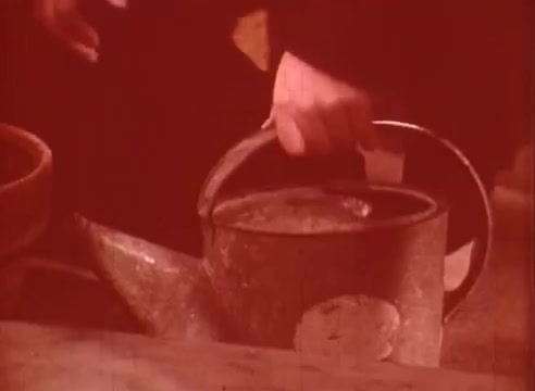 The still from *Erik Satie and the King of the Beans - Part I* features a close-up of a hand gripping the handle of a metal watering can. The scene is tinted with a reddish hue, contributing to a warm, vintage atmosphere. The watering can appears worn, with a metallic texture that captures the light subtly. This moment likely emphasizes themes of gardening or nurturing, tying into the educational focus of the film.