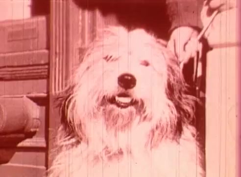The still features a fluffy dog with a joyful expression, set against a classic backdrop typical of early cinema. The image has a warm tone, possibly a sepia or pink tint, evoking a nostalgic feel. This scene likely contributes to the film's educational narrative, enhancing character development or thematic elements related to Erik Satie. The dog's presence adds a whimsical touch, aligning with the playful nature of the story.