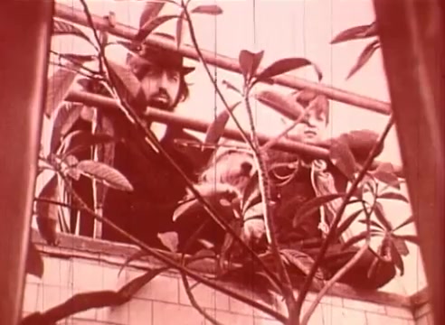 The still from 'Erik Satie and the King of the Beans - Part I' features a man and a child seated on a railing, partially obscured by lush foliage. The scene is tinged with a reddish hue, creating a whimsical atmosphere. Their expressions suggest curiosity or contemplation, connecting them to the film's educational theme. The plant elements add a natural, immersive quality to the setting.