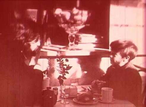 The still from 'Erik Satie and the King of the Beans - Part I' depicts a domestic scene featuring two characters, likely engaging in conversation at a table set with a meal. A glass vase with a flower is present, adding a touch of warmth to the setting. The lighting is soft, creating an intimate atmosphere, while reflections in the background hint at the presence of a larger environment. The overall tone conveys a sense of connection and contemplation between the characters.