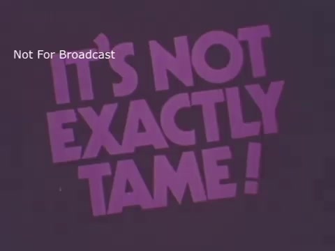 The still from the 1970 Hormel Chili TV commercial features bold, stylized text that reads 'IT'S NOT EXACTLY TAME!' The design emphasizes a playful, slightly edgy tone, likely aiming to highlight the bold flavors of the chili. The color scheme is vivid, contributing to the eye-catching nature of the advertisement. The watermark indicates that the image is not for broadcast.