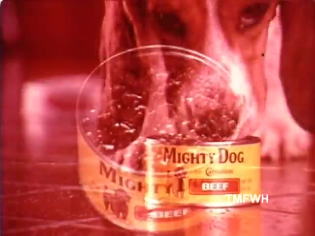 The still from the 'Mighty Dog Commercial - circa 1970s' features a close-up of a dog, likely a beagle, leaning towards an open can of Mighty Dog beef dog food. The can, prominently displayed, highlights its branding and contents. The color tone is warm, adding a nostalgic feel characteristic of commercials from that era. The dog appears eager to eat, emphasizing the appeal of the product.