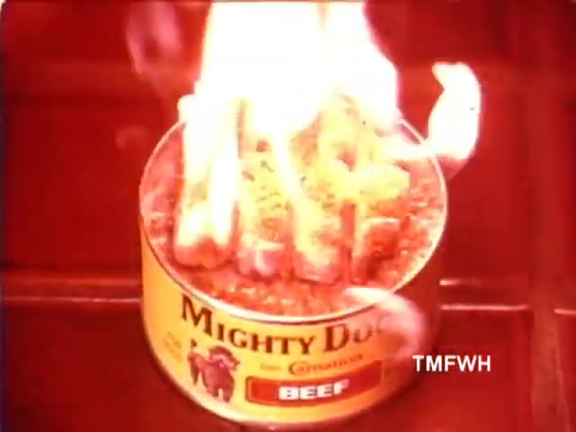 The still depicts a can of Mighty Dog pet food, specifically labeled 'Beef,' with flames erupting from the top. The vibrant colors and dramatic effect suggest an attention-grabbing advertisement typical of the 1970s. The image evokes a sense of excitement and possibly signifies the product's appeal to pet owners.