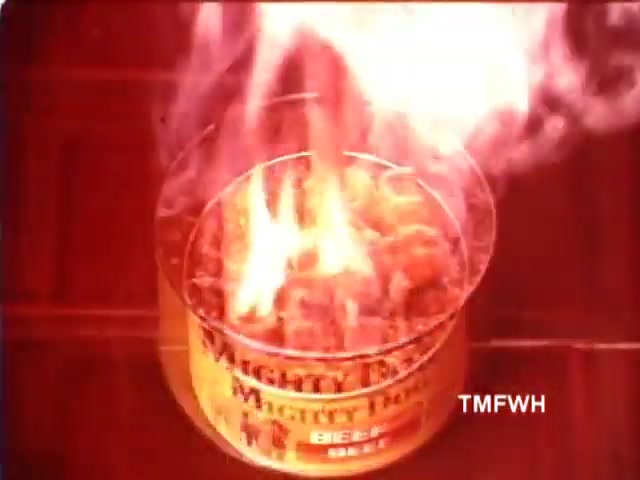 The still features a can of 'Mighty Dog' dog food, prominently displaying the brand name. The can is visibly on fire, with flames and smoke billowing from its contents. The scene suggests an exaggerated depiction of the food's quality or appeal, typical of 1970s commercial aesthetics. The background appears simple, emphasizing the can as the focal point. Overall, the imagery conveys an intense, memorable moment designed to capture viewer attention.