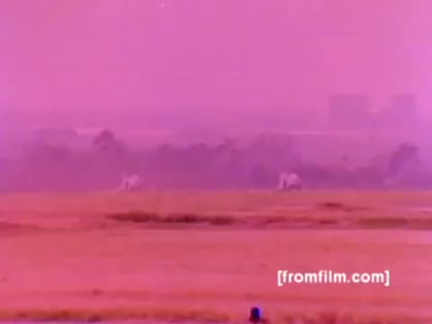 The still from the 'USMC Aviation Ordnance enlistment film' presents a vivid yet muted scene, typical of 16mm film quality. It depicts F-4 Phantoms, AH-1 SuperCobras, an FA-18, and a Harrier in action, illustrating the Ordnance Option for enlistment. Key elements include ordnance being mounted, showcasing the military's precision in loading missiles and bombs onto aircraft.  The color balance appears skewed, casting a pinkish hue over the landscape, which detracts from the visual clarity. Correcting the color could enhance the visibility of the aircraft and the ordnance activities, providing a more authentic representation of the scenario. Overall, the image captures a significant aspect of Marine aviation
