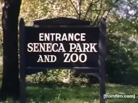 The still depicts a sign marking the entrance to Seneca Park and Zoo. The sign prominently features the words 'ENTRANCE,' 'SENECA PARK,' and 'AND ZOO' in bold letters, set against a backdrop of lush greenery typical of parks in the late 1940s. This image likely symbolizes family outings and leisure activities of that era in Rochester, New York.
