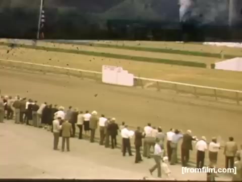 The still from 'Home Movies: Rochester/Niagara Falls 1948-1950' shows a crowd of spectators lined up at a horse racing track. They are intently watching the race, with a clear view of the track and a backdrop of green fields and trees. The scene captures a moment of leisure and excitement in post-war America, highlighting the social aspect of horse racing during that era. The overall tone is nostalgic, reflecting the vibrant colors and style of the late 1940s.