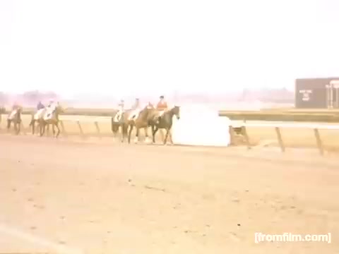 The still captures a moment at a horse racing event, showcasing several horses with riders on a dirt track. The atmosphere appears nostalgic and colorful, indicative of the late 1940s. The scene reflects leisure and sporting culture of the time, possibly in the Rochester or Niagara Falls area.
