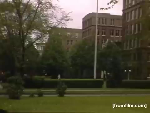 The still features a park-like area with lush green grass and trees, surrounded by historic buildings typical of mid-20th-century architecture. The scene conveys a tranquil suburban atmosphere, reflecting everyday life in Rochester/Niagara Falls during the late 1940s. The flagpole suggests a sense of community or civic pride. The muted colors and soft focus offer a nostalgic glimpse into that era.