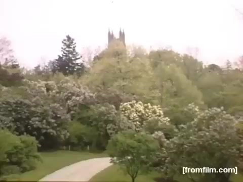 The still from 'Home Movies: Rochester/Niagara Falls 1948-1950' features a serene landscape scene, showcasing a winding path through lush greenery. Trees are in full bloom, with a mix of vibrant foliage and flowers, creating a tranquil atmosphere. In the background, a distinctive church steeple rises above the treetops, suggesting a location steeped in history and community. The soft color palette and gentle light evoke a sense of nostalgia, characteristic of home movie captures from that era.
