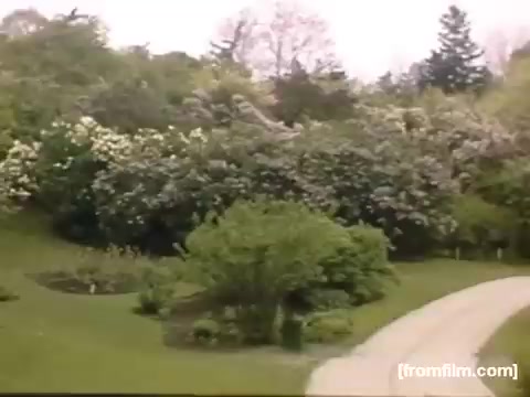 The still from 'Home Movies: Rochester/Niagara Falls 1948-1950' features a picturesque garden scene with lush greenery and blooming flowers. A winding path curves through the landscape, suggesting a tranquil setting. The soft colors and abundant foliage evoke a sense of nostalgia and a peaceful, suburban environment typical of the era.