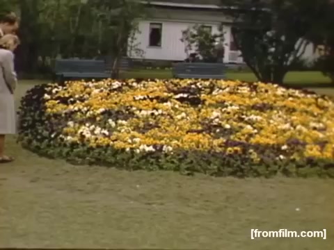 The still from 'Home Movies: Rochester/Niagara Falls 1948-1950' depicts a vibrant circular flower bed filled with yellow and purple blooms set in a grassy area. In the foreground, two individuals, a woman and a child, are standing and observing the flowers. In the background, a white building is visible, hinting at a park or garden setting. The scene captures a moment of leisure and appreciation for nature in that era.
