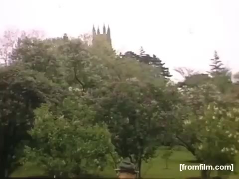 The still captures a lush scene from the 16mm film 'Home Movies: Rochester/Niagara Falls 1948-1950.' It features dense greenery and trees, providing a glimpse into the natural beauty of the area during that period. In the background, a building with distinctive spires is partially visible, hinting at the architectural elements of the time. The overall tone is soft, reflecting the nostalgic quality of home movies.