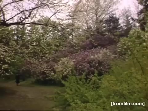 The still depicts a lush, vibrant landscape filled with blooming trees and greenery, characteristic of springtime. The scene likely represents natural beauty surrounding Rochester or Niagara Falls during the late 1940s. A figure can be seen walking along a path, suggesting a leisurely exploration of the outdoors. The soft colors reflect the nostalgic quality typical of home movies from that era.