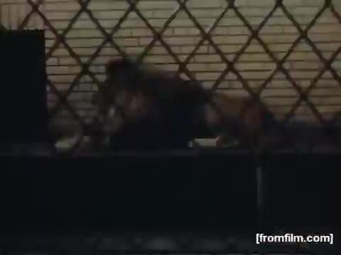 The still from 'Home Movies: Rochester/Niagara Falls 1948-1950' depicts a scene behind a chain-link fence, suggesting an urban or industrial environment. The image has a muted color palette typical of 16mm film, capturing a candid moment from everyday life in the late 1940s to early 1950s. The fence adds a layer of intimacy and barrier, framing the action occurring beyond it.