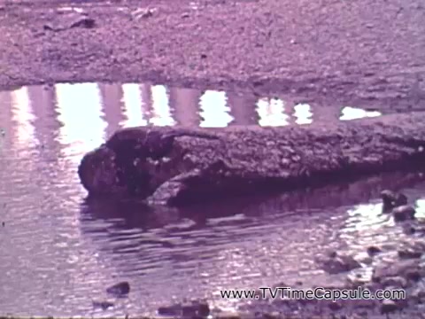 The still from the political advert for Senator Stuart Symington features a focus on a dam, likely showcasing its construction and environmental impact. The voiceover emphasizes the practical benefits of the dam, such as clean water, recreational opportunities, and job creation for Missouri residents. The imagery conveys a sense of local investment and improvement, aligning with Symington's message of providing Missouri citizens their fair share of resources and opportunities.