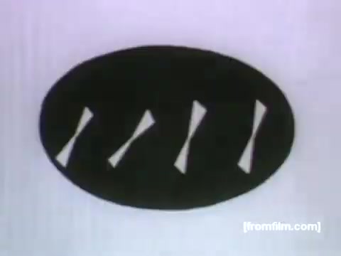 The 16mm still from the 1950s UPA commercial for Post Grape-Nuts Flakes features a simple, stylized graphic design. An oval black shape contains four elongated, white forms resembling abstract representations of cereal pieces. The minimalist aesthetic reflects the era's emphasis on clean lines and vibrant simplicity in animation, characteristic of UPA's distinctive style.