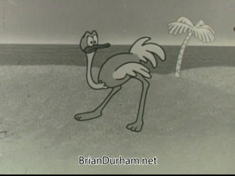 The 16mm still from 'If Disaster Strikes PSA - 1968' features a cartoon ostrich standing on a beach with the ocean in the background. A palm tree is visible to the right. The image has a classic, simplistic animation style typical of that era, emphasizing a lighthearted approach to the serious topic of disaster preparedness. The overall tone is playful, aiming to engage viewers in a public service announcement context.