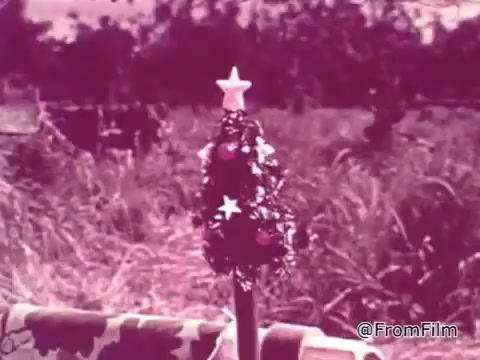 The still from the 1968 PSA 'Mail Early to Your Soldier' depicts a festive small Christmas tree adorned with a star and decorative elements like tinsel, placed in a military setting, likely a base in Vietnam. The background features tall grass and an open field, suggesting a remote location. The overall tone is nostalgic and heartfelt, emphasizing the importance of sending gifts to servicemen and women during the holiday season. The message highlights the urgency of mailing packages early to ensure they arrive in time for Christmas, creating a connection between loved ones at home and those serving overseas.