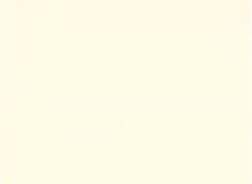 The still from the 'Tee Collins Animation B-roll film - 1983' appears to be a blank or lightly tinted background, typical of a film negative featuring no distinct visual elements. This suggests it might be a test frame or placeholder within the collection related to the Sesame Street animator.