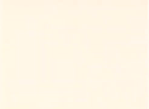 The still appears to be a simple, blank or neutral background, typical of b-roll footage. It may serve as a transition or placeholder in the context of the 'Sesame Street Arab' film, possibly indicating a scene change or a moment of preparation in the animation process. The focus is likely on showcasing the work of animator Tee Collins without specific visual elements from the main content.