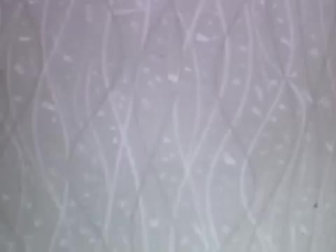 The still from the UPA Animation features a textured backdrop that resembles a stylized pattern of flowing lines, typical of 1950s design aesthetics. The soft, muted colors give it a retro feel, possibly representing the domestic ambiance associated with Caloric gas appliances. The design’s simplicity and elegance reflect the mid-century modern approach to advertising household products.