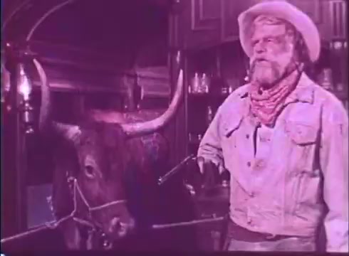 The still from 'Scandalous John' features a rugged, older man, likely a cowboy, standing next to a large, horned ox. He has facial hair and wears a cowboy hat, denim jacket, and a bandana around his neck. The setting appears rustic, with wooden furnishings in the background. The image has a pinkish hue, indicative of its 16mm film print quality. The overall mood suggests a classic Western theme.