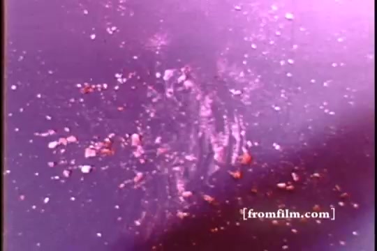 The still from 'Formica Floor Shine' captures a close-up of a textured surface, likely a floor, showing various debris and scuff marks. The colors are muted with a purplish tint, while the details highlight a semi-glossy finish, contrasting with the scattered particles that suggest neglect or wear. The composition evokes a sense of everyday life and the mundane aspects of domestic spaces.