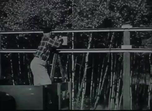 The still shows a technician in a plaid shirt, standing on a ladder, working on telephone infrastructure. He is positioned next to a pole where wires are attached, likely demonstrating the installation process for drop wires from a central office to a customer's location. The background features trees, indicating a natural setting typical of many service areas. The image captures a historical moment reflecting early telecommunications practices from the late 1940s to early 1950s.