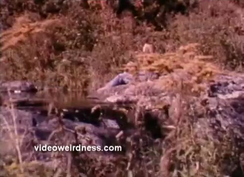 The still appears to show a natural setting with a rocky area surrounded by tall grass and foliage. In the background, a figure is partially visible, likely engaged in an activity related to environmental awareness, consistent with the theme of a 1970s EPA public service announcement. The color palette suggests a vintage look typical of that era in film.