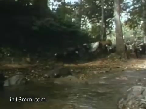 The still from the 1980 Peace Corps Public Service Announcement captures a serene natural setting with a creek flowing through a wooded area. In the background, a group of individuals is seen moving along the riverbank, suggesting a sense of community and action. The atmosphere conveys a connection to nature and the spirit of adventure, aligned with the message of undertaking meaningful work in challenging environments.
