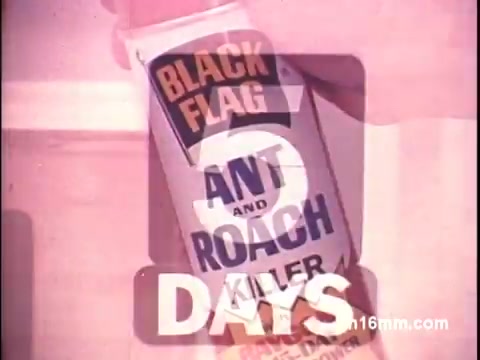 The still features a can of Black Flag Ant and Roach Killer prominently displayed against a pastel background. The text '5 DAYS' is overlaid in bold, emphasizing the product's effectiveness. The overall aesthetic reflects vintage advertising from the mid-20th century, characteristic of bright colors and clear messaging.