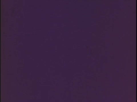 The 16mm still from the 1970s Hunt's Snack Pack Chocolate Pudding advertisement features a simple, vibrant purple background, typical of retro marketing aesthetics. The ad slogan suggests a playful, fun atmosphere, emphasizing that Snack Pack makes pudding enjoyable for parties. This captures the nostalgic vibe reminiscent of the era, aligning with references in pop culture like 'Stranger Things.'