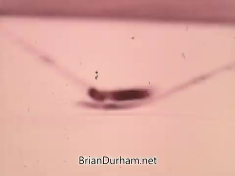 The still from the '1973 NBC NHL Bumper Promo' shows a close-up view of an object, likely a hockey puck, gliding along a surface. The blurred edges and soft pink background create a dynamic sense of motion, capturing the energy associated with hockey. The visual emphasizes speed and excitement, typical of sports promotions.