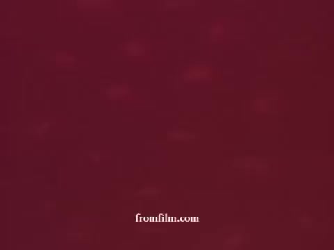 The still from 'Chatham Supermarket Commercials' features a color palette that likely includes reds and other warm tones. The content focuses on various grocery items such as apples, bananas, potatoes, and meats, while emphasizing themes like price comparison and coupon usage. The presentation seems to be aimed at showcasing fresh produce and quality meats, possibly with a playful tone. It likely captures the essence of 16mm film aesthetics, characterized by a nostalgic vibe.