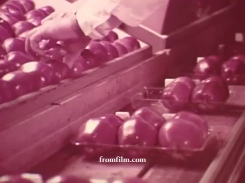 The still features a hand reaching for red apples arranged in trays at Chatham Supermarket. The composition highlights fresh produce, emphasizing quality and selection. The vintage 16mm print gives the image a nostalgic feel, suitable for a commercial showcasing grocery items. Key themes include freshness, customer engagement, and product variety, aligning with the titles: apples, bananas, meats, and more.