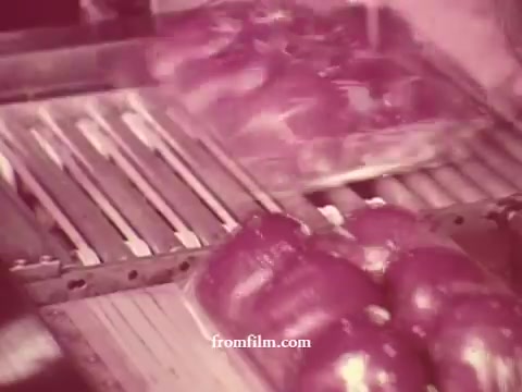 The still from 'Chatham Supermarket Commercials' features a close-up of red apples being processed. The scene showcases a conveyor system, emphasizing the supermarket's focus on fresh produce. The vintage aesthetic highlights the nostalgic appeal of 16mm film, capturing the essence of grocery shopping and the variety of items available, like meats and potatoes, as indicated by the titles.