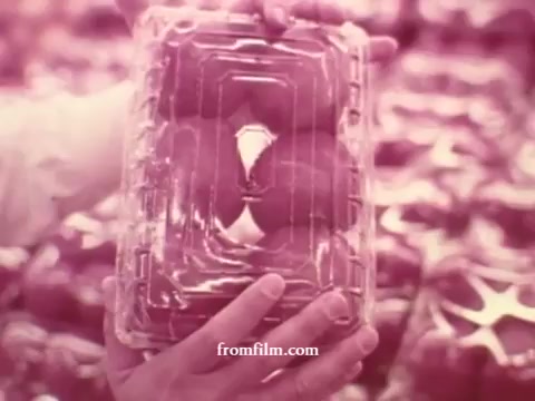 The still from the 'Chatham Supermarket Commercials' showcases a hand holding a plastic container filled with items, likely representing fresh produce or meats, set against a blurred background of stocked shelves. The color palette appears muted, possibly in shades of pink, emphasizing a vintage aesthetic typical of 16mm film. The focus is on the product, suggesting a theme of freshness and quality.