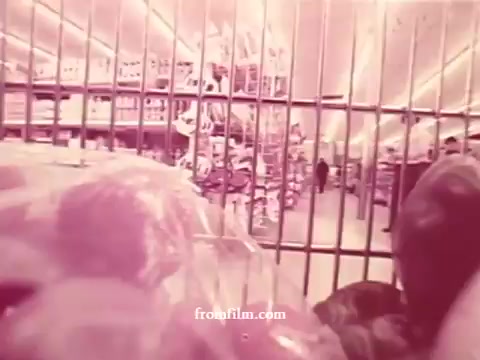 The still from the 'Chatham Supermarket Commercials' features a view from inside a shopping cart, showcasing various supermarket items like apples and bananas. The background reveals store shelves stocked with fresh produce, meats, and other groceries, all captured in a nostalgic 16mm film aesthetic. The image emphasizes a mix of vibrant colors and textures, creating a lively shopping atmosphere. The grid from the cart provides a sense of perspective, enhancing the viewer's connection to the shopping experience.