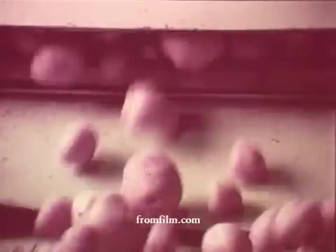 The still features a close-up shot of potatoes rolling down a conveyor belt, emphasizing freshness and quality. The image is part of the 'Chatham Supermarket Commercials,' likely promoting various grocery items like apples, bananas, meats, and discounts through coupons. The nostalgic feel, derived from the 16mm format, evokes a simpler shopping experience focused on fresh produce.