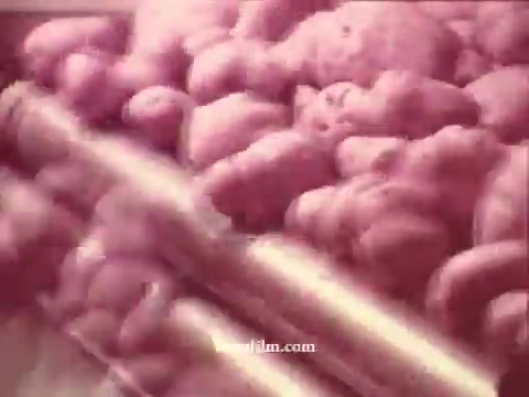 The still from the 'Chatham Supermarket Commercials' features a close-up of potatoes, showcasing their texture and form. The image conveys a focus on fresh produce, typical of supermarket advertising. The vintage aesthetic of the 16mm print adds a nostalgic touch, highlighting the emphasis on quality items like potatoes in a grocery setting.