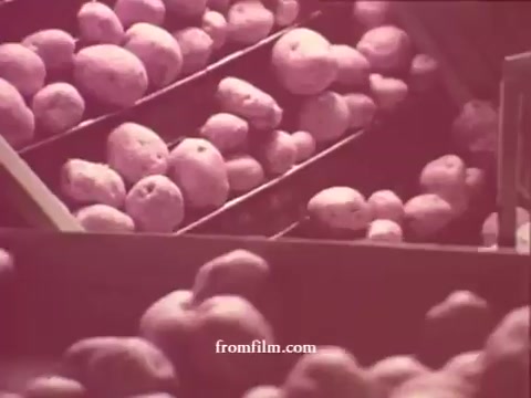 The still from 'Chatham Supermarket Commercials' depicts a close-up view of potatoes moving along a conveyor belt. The warm, muted colors give the scene a nostalgic feel typical of 16mm prints. The focus on fresh produce highlights the supermarket's emphasis on quality and variety, fitting into a broader theme of showcasing items like fruits, meats, and groceries from the Chatham brand. The visual captures the essence of grocery shopping and the appeal of fresh ingredients.