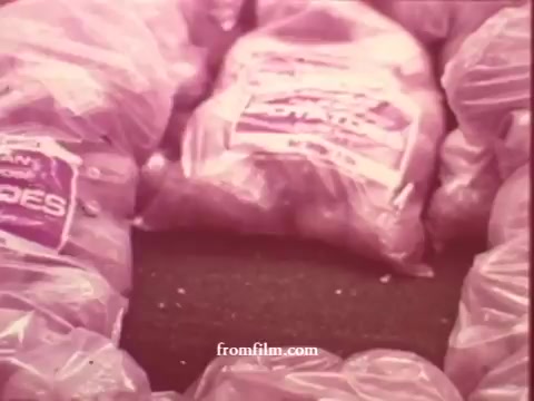 The still from 'Chatham Supermarket Commercials' features bags of potatoes, prominently displayed in a retail environment. The packaging is clear and labeled, suggesting a focus on fresh produce. The color scheme has a warm, vintage tone typical of 16mm film. This scene likely emphasizes the supermarket's commitment to quality and value in its offerings.