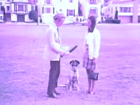The still from the Gaines Burgers dog food commercial shows a man and a woman interacting in a park, with a dog sitting between them. The man is holding a large object, possibly a prop for the commercial, while the woman looks on. The scene has a nostalgic 1970s aesthetic, characterized by its soft colors and casual attire. The overall mood suggests a lively and friendly atmosphere, likely aimed at promoting the dog food brand to pet owners.